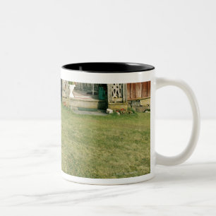 Abgenutztes rotes Haus mit einer Katze auf dem Zweifarbige Tasse
