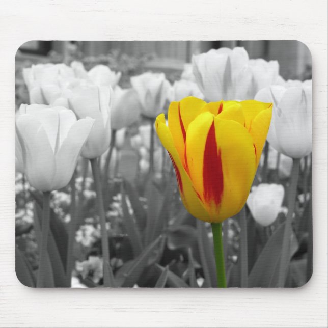 Abgeschieden Tuli[ Mousepad (Vorne)