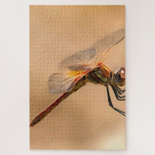 Abgeschiedene Libelle gegen Ecru