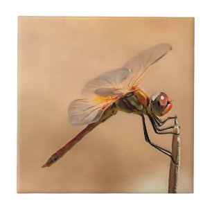 Abgeschiedene Libelle gegen Ecru Fliese