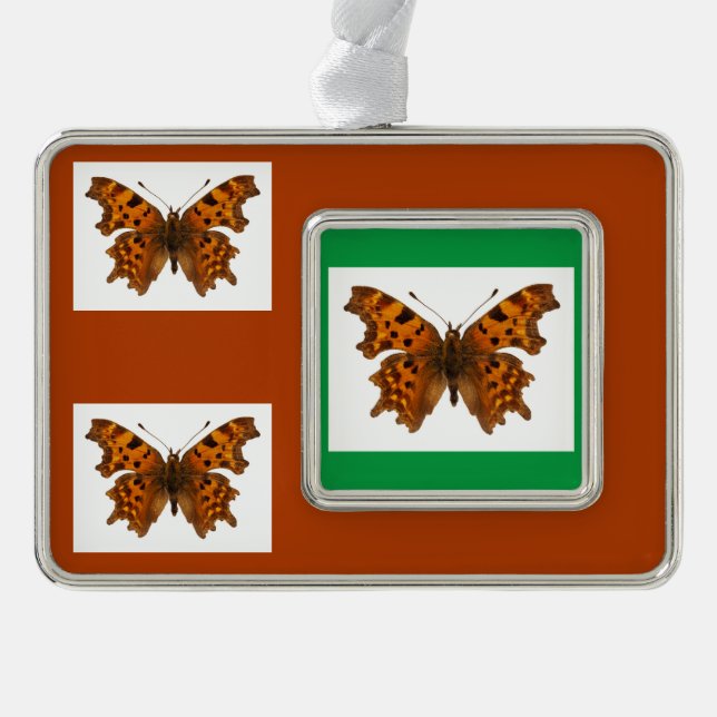 Abgeschiedener Commandschmetterling Postcard Poste Rahmen-Ornament Silber (Vorderseite)