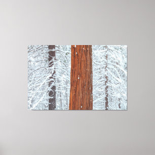 abgesichert leinwanddruck