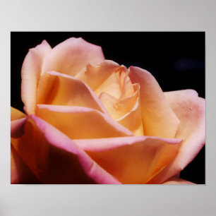 Abgetöntes gelbes Rosenknospe-Blumen-Plakat Poster
