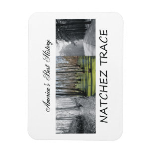 ABH Natchez Spur Magnet