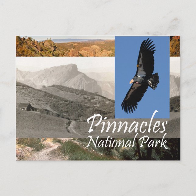 ABH Pinnacles NP Postkarte (Vorderseite)