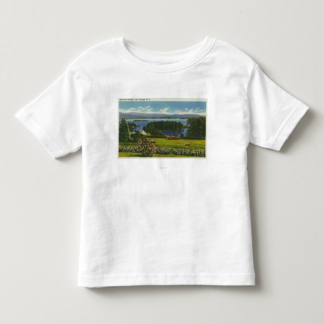 Abhang-Ansicht von Diamant-Insel und See Kleinkind T-shirt (Vorderseite)