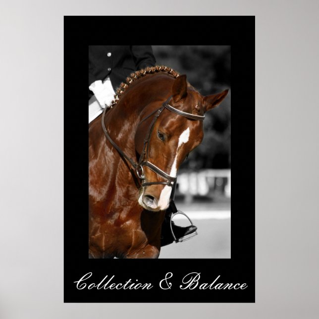 Abholung und Bilanz Poster (Vorne)