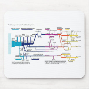 Ablaufdiagramm des amerikanischen Strafjustizsyste Mousepad