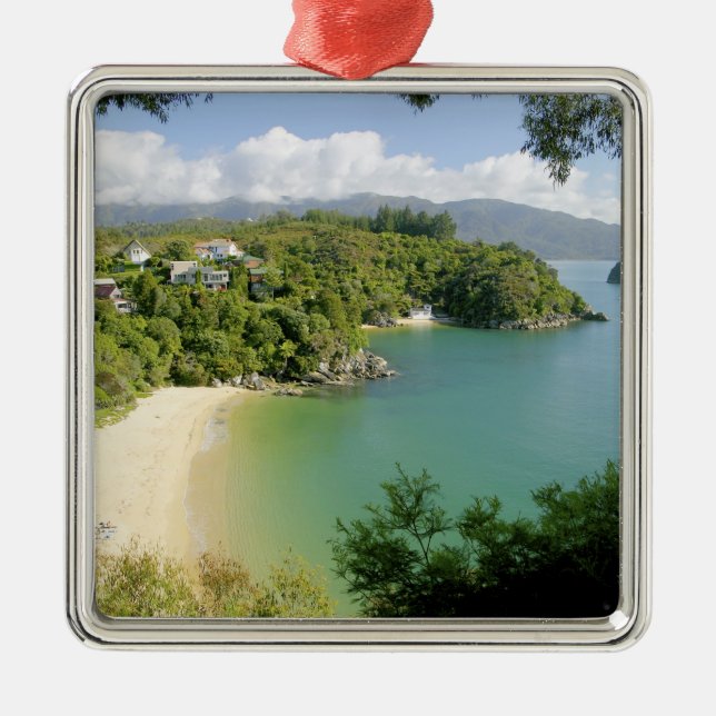 Able Tasman NP, Nelson, Neuseeland. Die vielen Silbernes Ornament (Vorne)