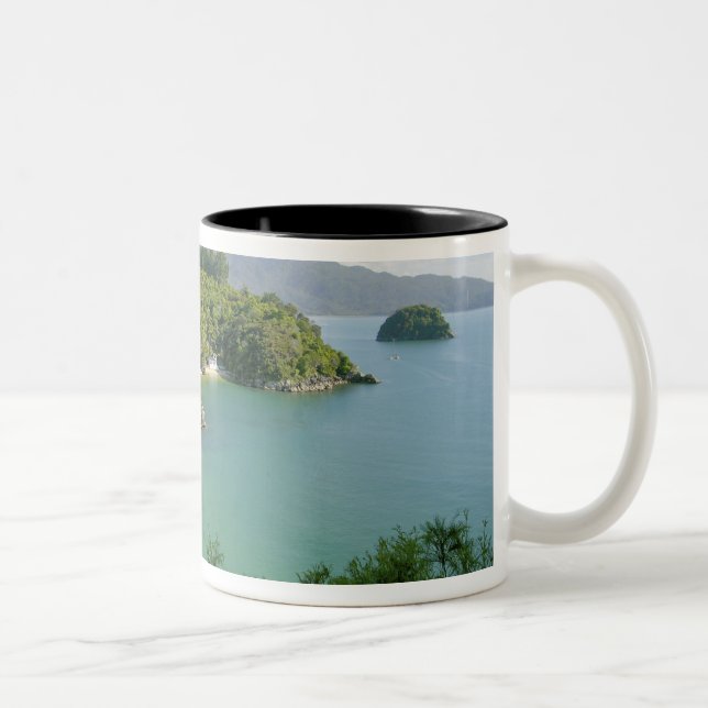 Able Tasman NP, Nelson, Neuseeland. Die vielen Zweifarbige Tasse (Rechts)