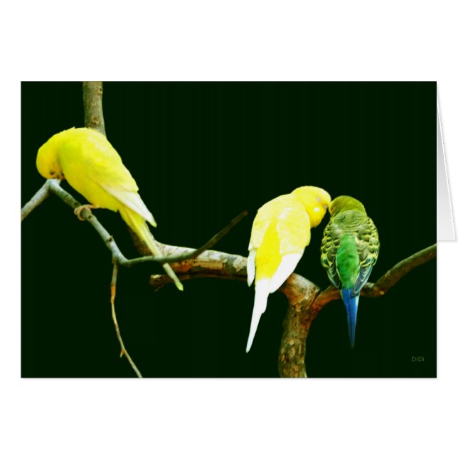 Ablehnung (Vorderseite (Horizontal))