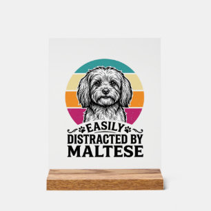 Ablenkbar Durch Malteser Vintage-Hundedesign_1 Acrylschild