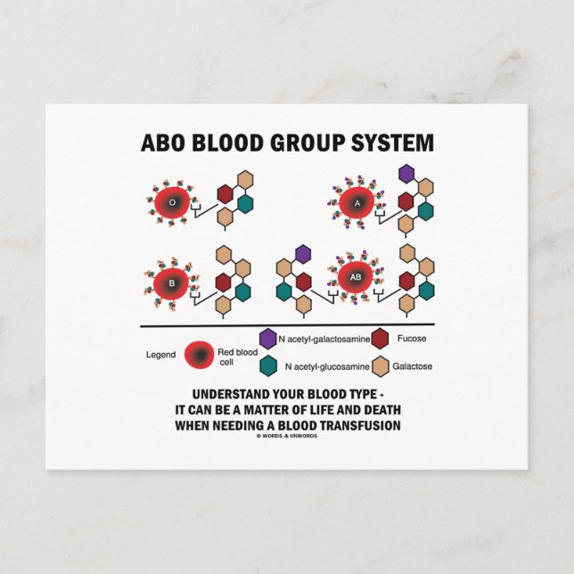 ABO Blutgruppe System versteht Bluttyp Postkarte (Vorderseite)