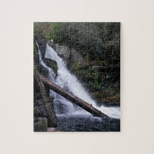 Abrams Falls