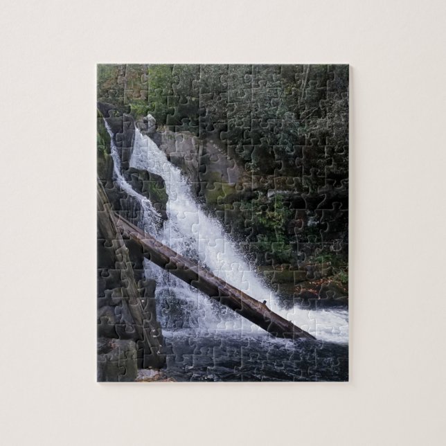 Abrams Falls (Vertikal)