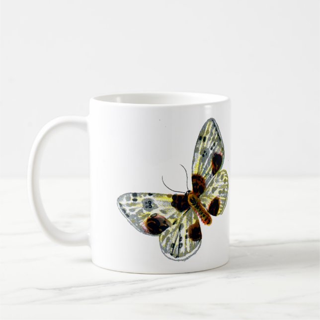 Abraxas sylvata - The Clouded Magpie Moth Kaffeetasse (Links)