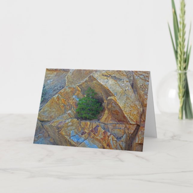 Abri de la carte de voeux de la saison des tempête (Devant)