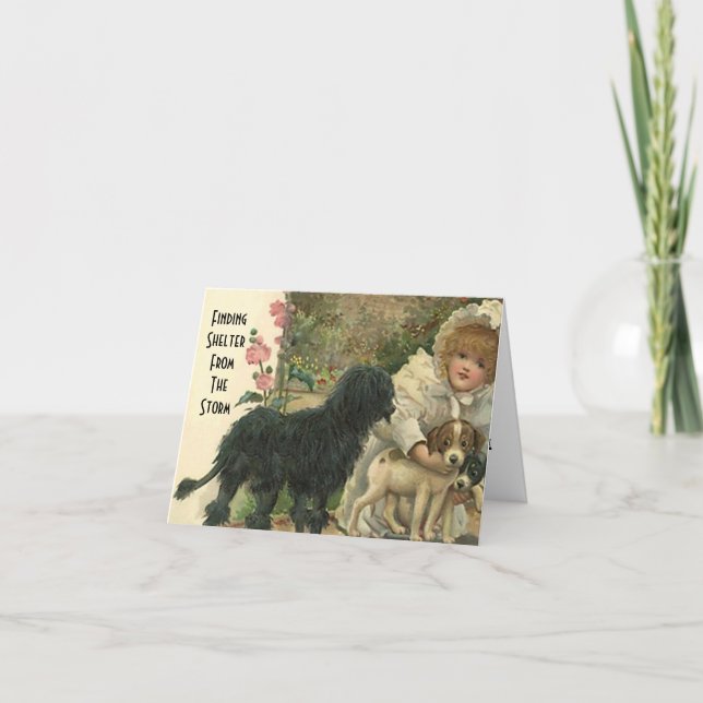 Abri De La Tempête Pet Cat Secourir Carte Merci (Devant)