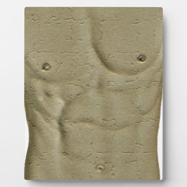Abs Fotoplatte (Vorderseite)