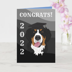 Abschluss Bernese Mountain Dog Karte