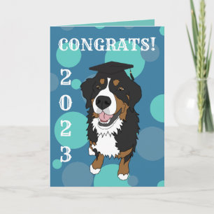 Abschluss Bernese Mountain Hund Card Karte