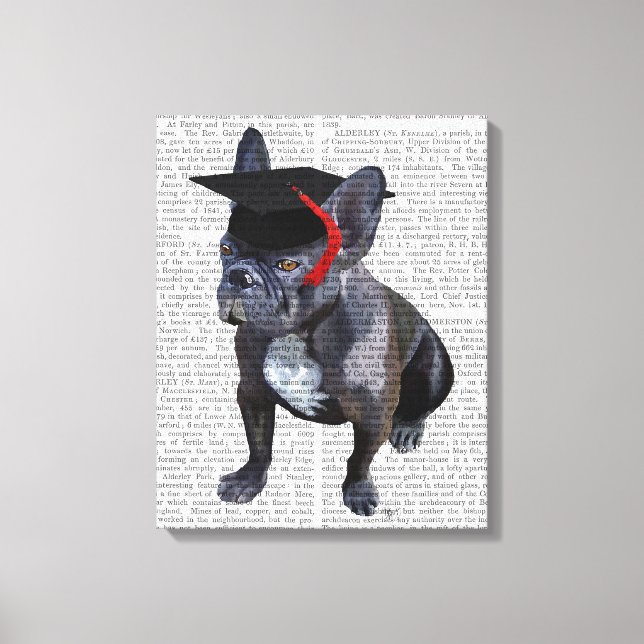 Abschluss French Bulldog Leinwanddruck (Vorderseite)