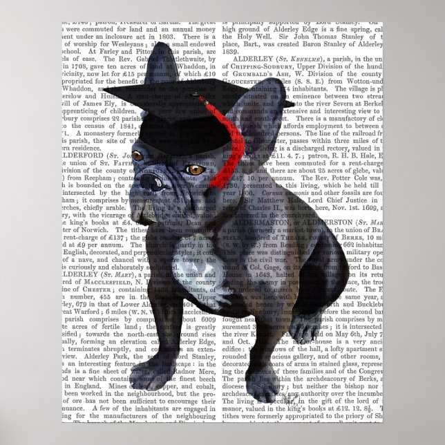 Abschluss French Bulldog Poster (Vorne)