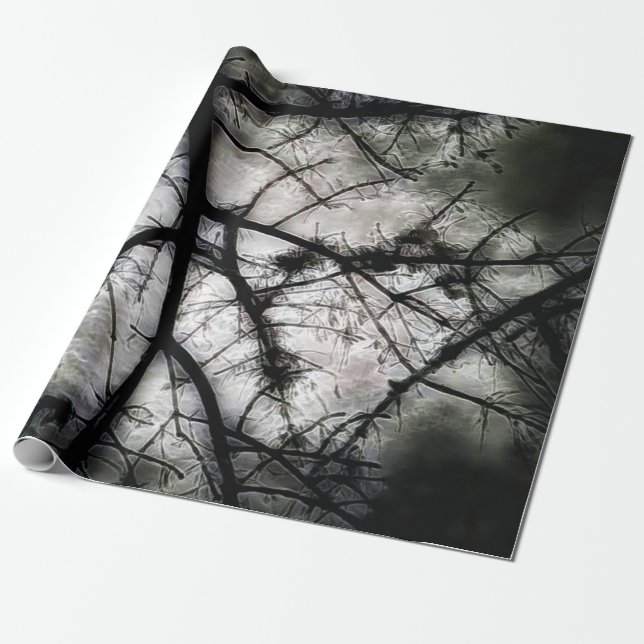 Abschluss Geschenkpapier (Ungerollt)