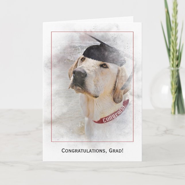 Abschluss gratulieren Labrador Retriever Karte (Vorderseite)