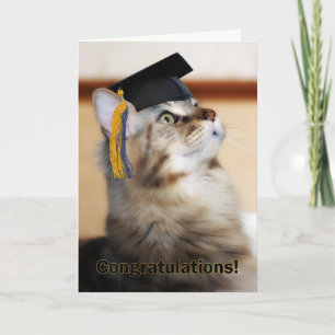 Abschluss Herzlichen Glückwunsch Cat Wear Mortarbo Karte
