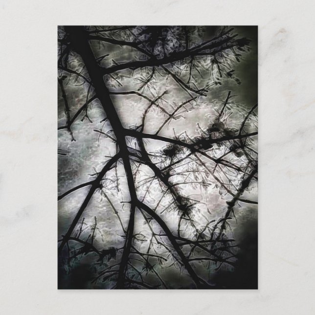 Abschluss Postkarte (Vorderseite)