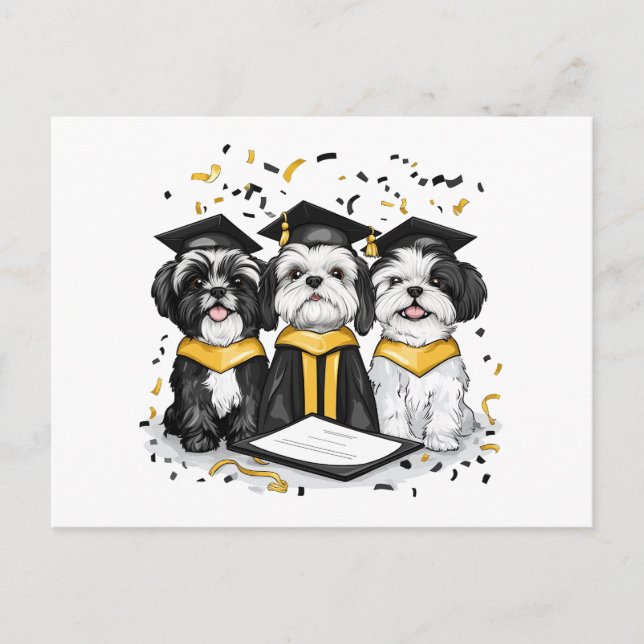 Abschluss Shih Tzu Dogs Postkarte (Vorderseite)