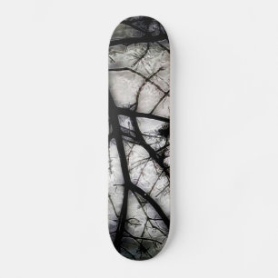 Abschluss Skateboard