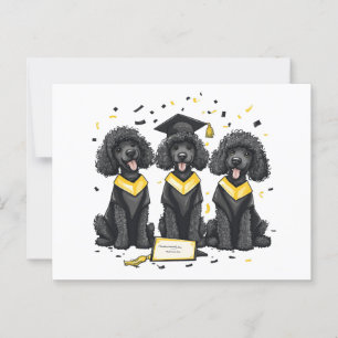 Abschluss Standard Poodle Hunde Postkarte