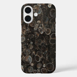 Abschnitt Turritella Agate iPhone 16 Hülle