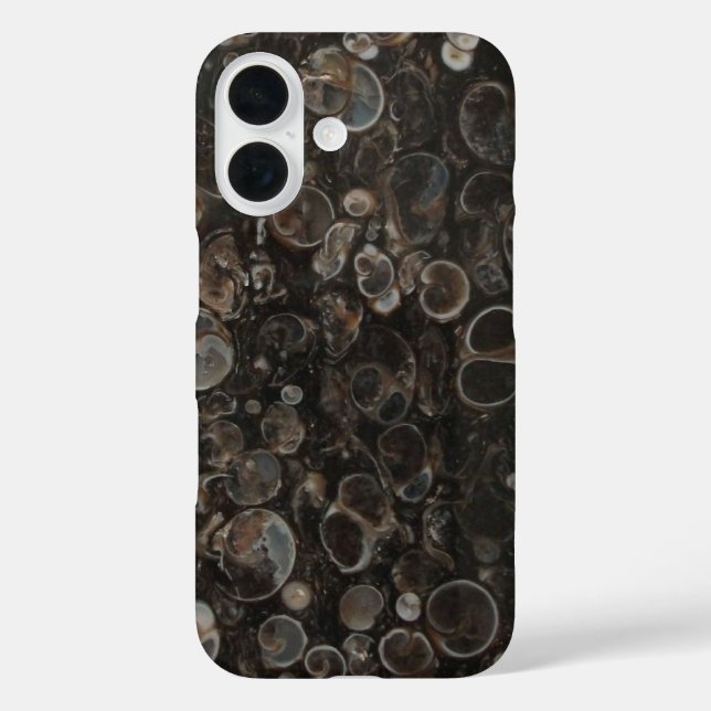 Abschnitt Turritella Agate iPhone 16 Hülle (Rückseite)