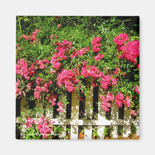 Abschweifende Rose Magnet