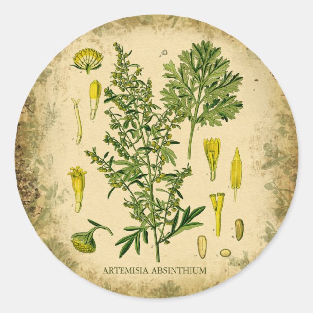 Absinthe Botanical Collage Runder Aufkleber (Vorderseite)