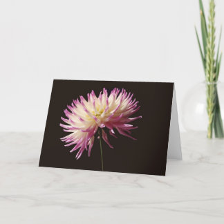 absolute Schönheit Karte