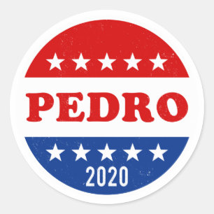 Abstimmung für die Wahlen in Pedro 2020 Runder Aufkleber