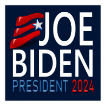 Abstimmung Joe Biden Präsident Wahlprogramm 2024