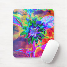 Abstract colorful psychedelic chakra sunflower