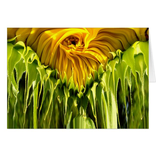 Abstrait tournesol rétro funky, géométrie effrayée (Devant horizontal)