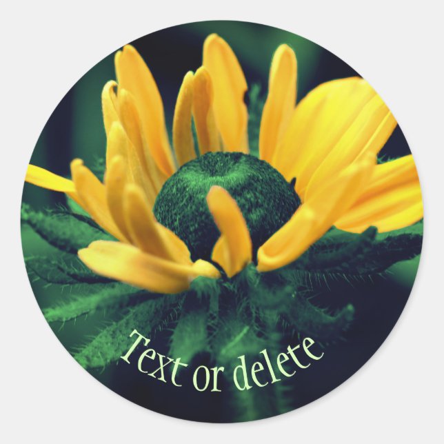 Abstrakt Black Mit Augen Susan Blume Personalisier Runder Aufkleber (Vorderseite)