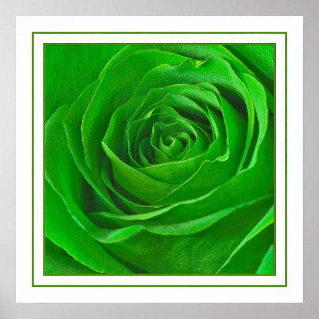 Abstrakt Emerald Green Rose Center Fotografie Poster (Vorne)