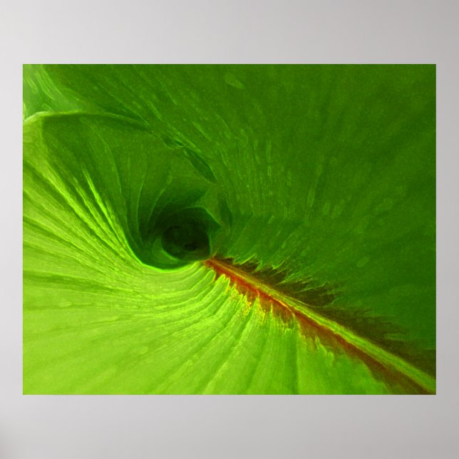 Abstrakt Ginger Leaf Spiral Poster (Vorne)