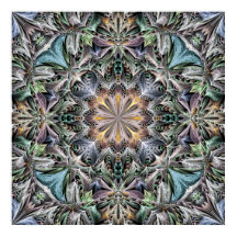 Abstrakt Multicolor Sukkulentgarten Rosette