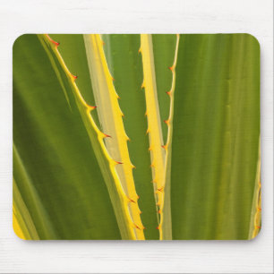 Abstrakte Agave-Pflanze Mousepad