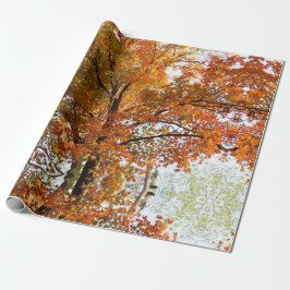 Abstrakte Ahornsaison Baumkronen oder Geschenkpapier