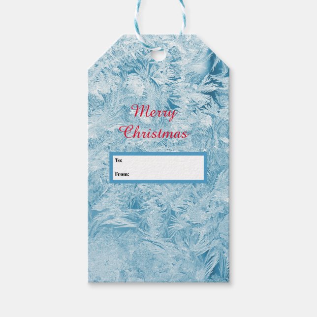 abstrakte blaue Federn und Schneeflocken Geschenkanhänger (Vorderseite)